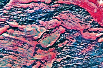 AP 116A1